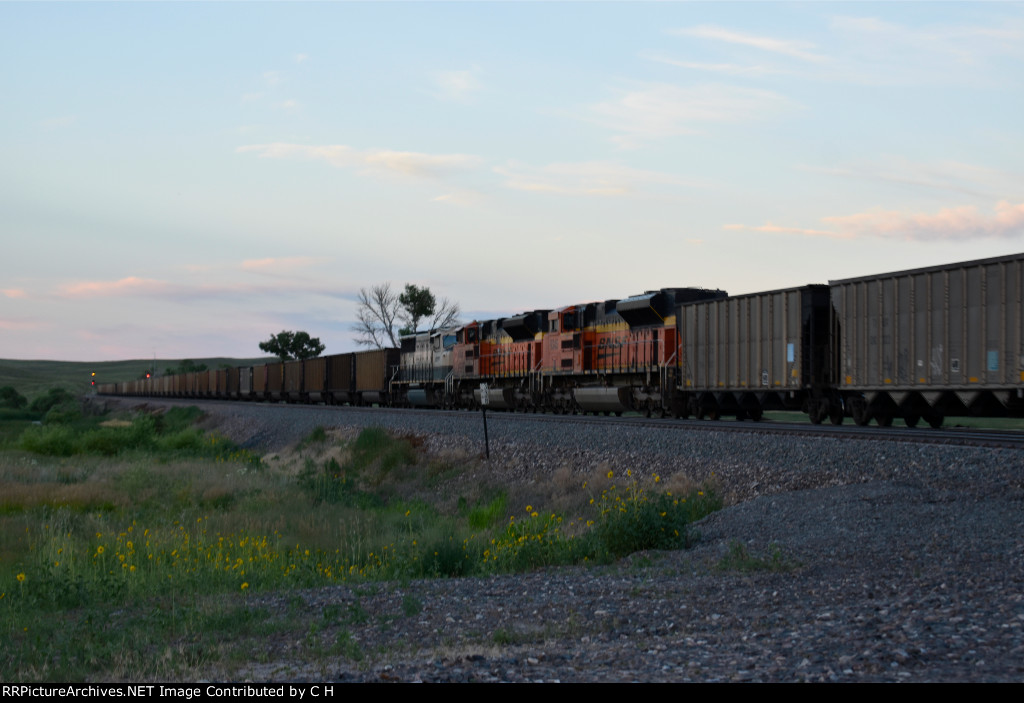 BNSF 9345/9155/9669